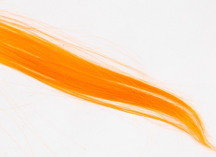 مش تکه ای کلیپسی