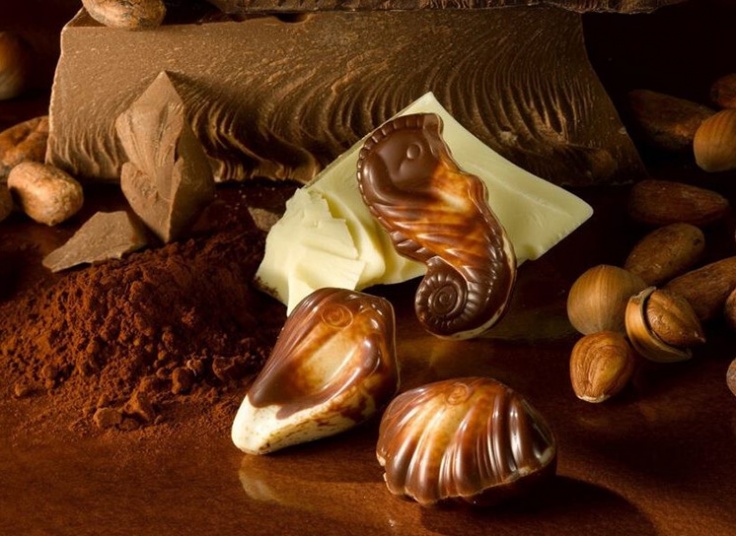 شکلات کادویی صدفی Guylian