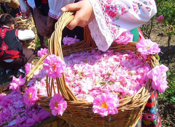 تور یک روزه کاشان آژانس شال و کلاه سفر