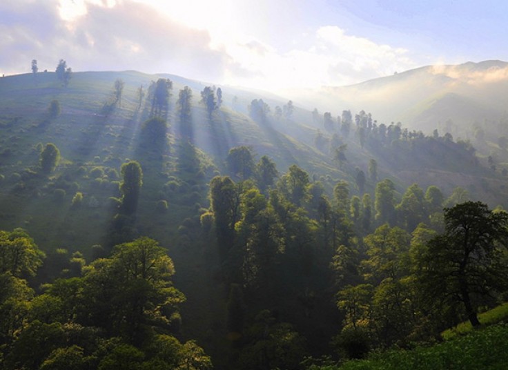 تورهای آژانس مسافرتی مهام