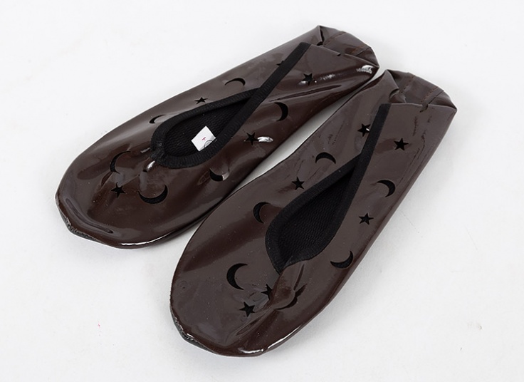 پاپوش روفرشی Seal