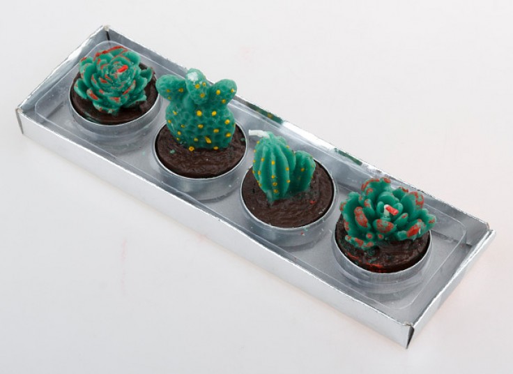 شمع تزئینی طرح کاکتوس