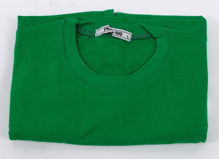 تیشرت مردانه Plus 100