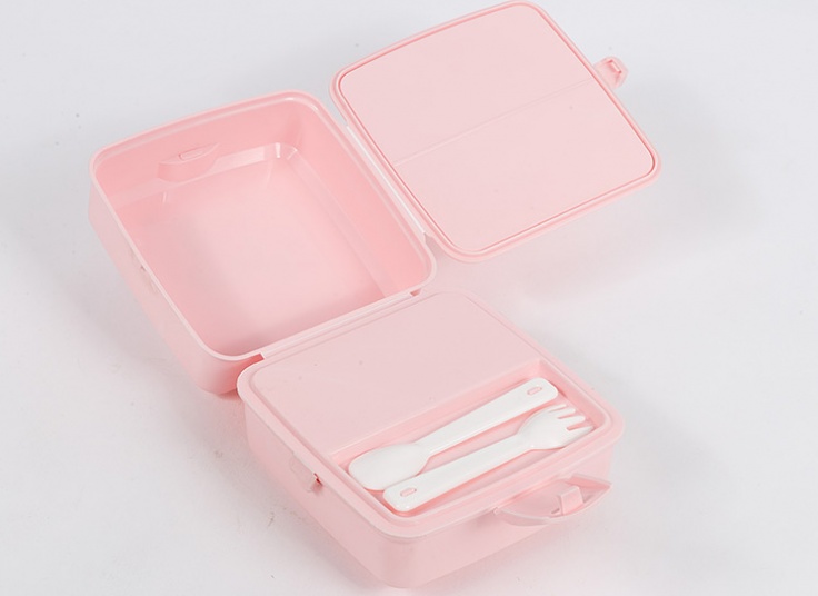 ظرف غذای طرحدار