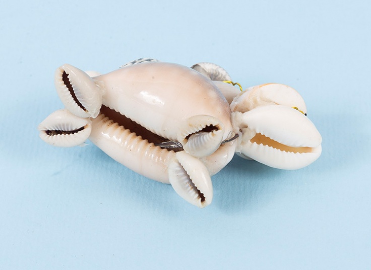 مجسمه لاکپشت صدفی