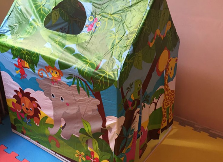 مهد و آمادگی کودک نابغه