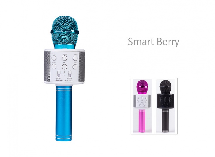 میکروفون اسپیکردار Smart berry