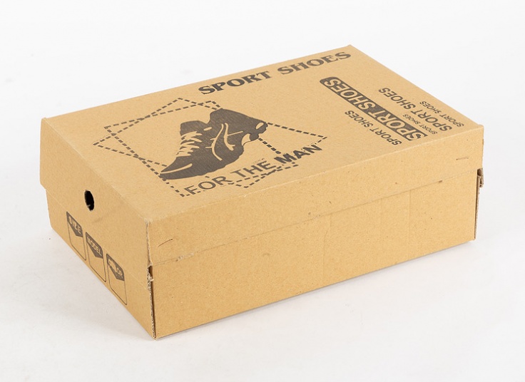 کفش مردانه Lacoste