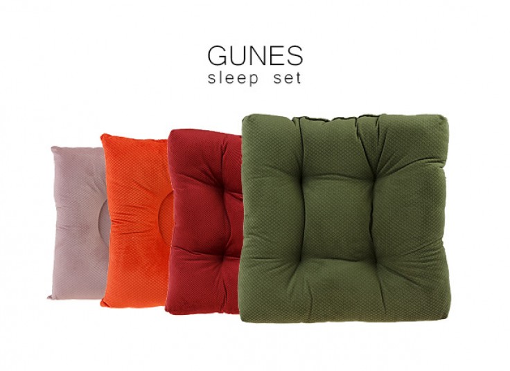 زیر نشیمنی GUNES