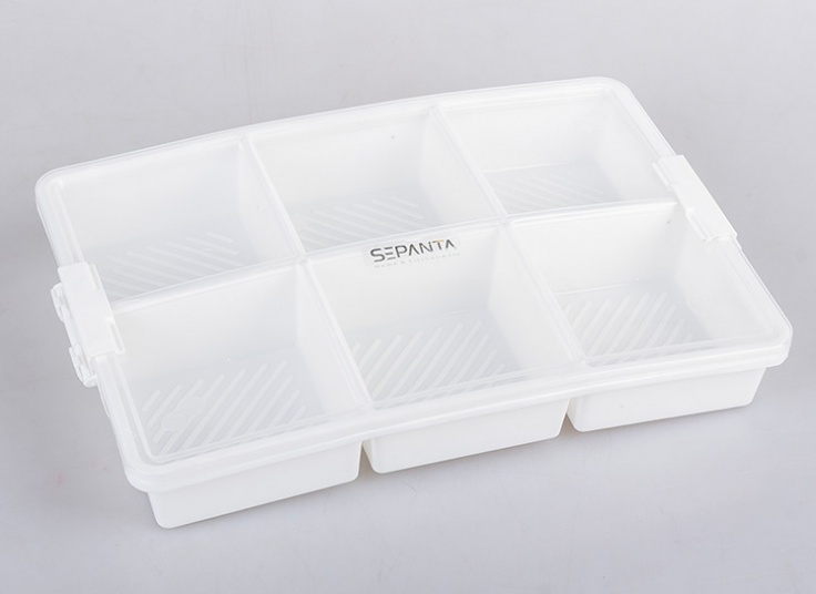 ظرف فریزری شش خانه Sepanta