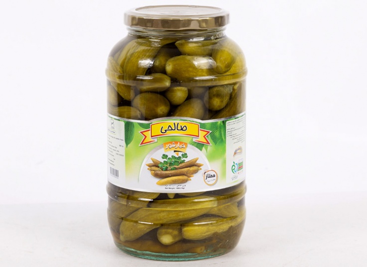 خیارشور صالحی