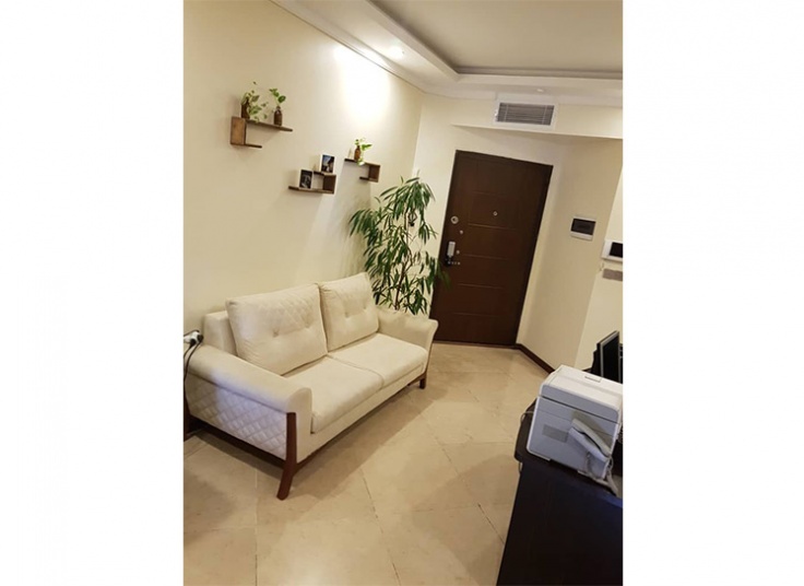 لیزر الکساندرایت پلاتینیوم درمرکز زیبایی درمانیکا