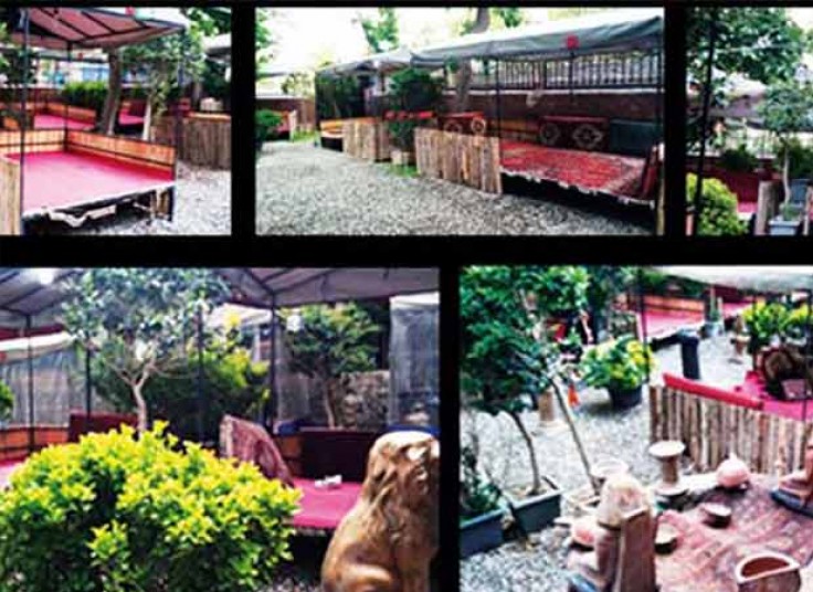 دیزی در باغ خانوادگی ایلیا فرحزاد