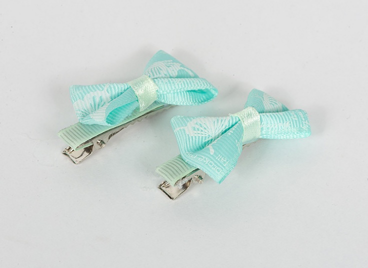 پک دو عددی گیره مو Fashion