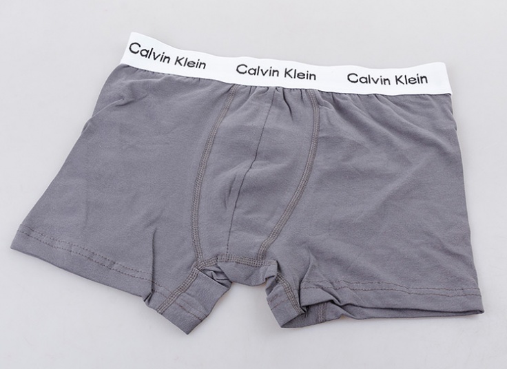 لباس زیر مردانه باکسر Calvin Klein