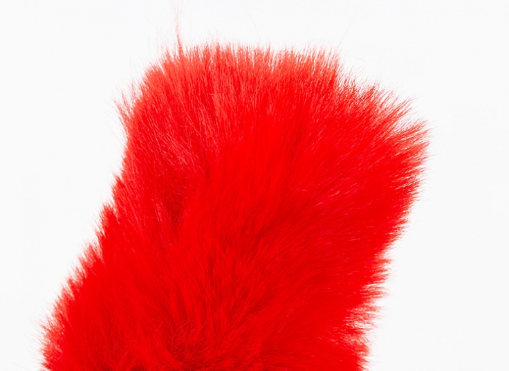 جا سوئیچی خز