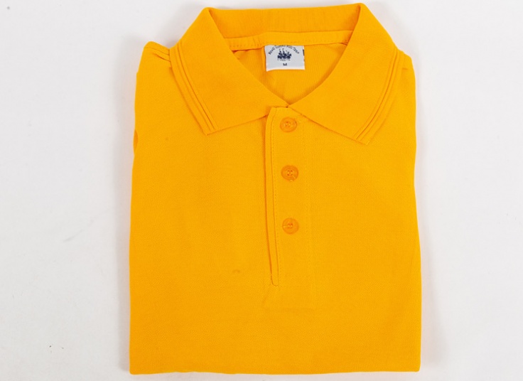 پولوشرت مردانه Polo Team