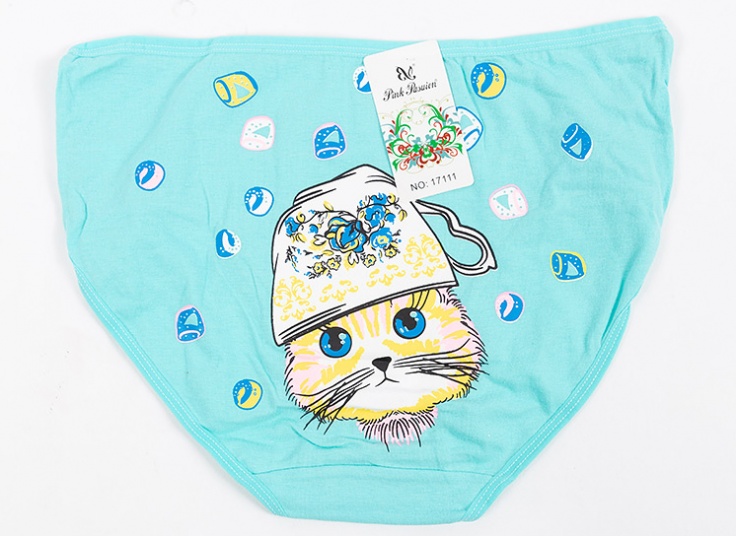 لباس زیر زنانه Pink Pasuion