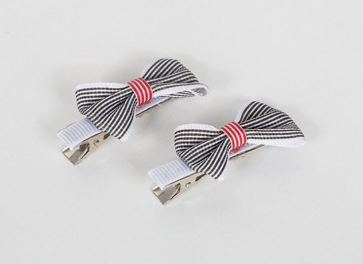 پک دو عددی گیره مو Fashion