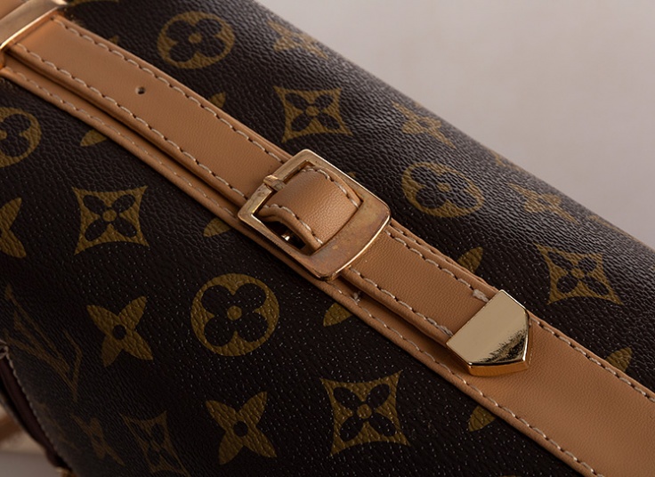 کیف دوشی زنانه Louis Vuitton