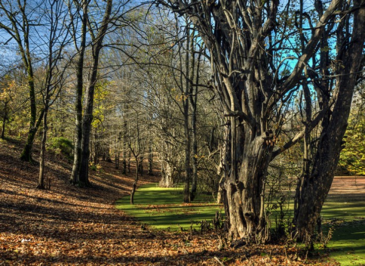 تورهای آژانس مسافرتی مهام