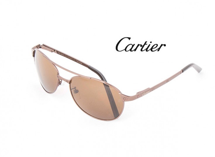 عینک Cartier مدل Santos