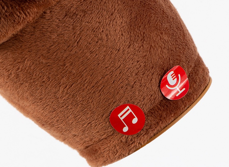 کاکتوس سخنگو لباس دار شارژی