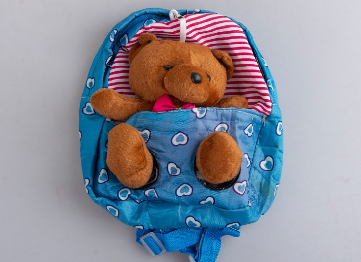 کیف کوله فانتزی Teddy