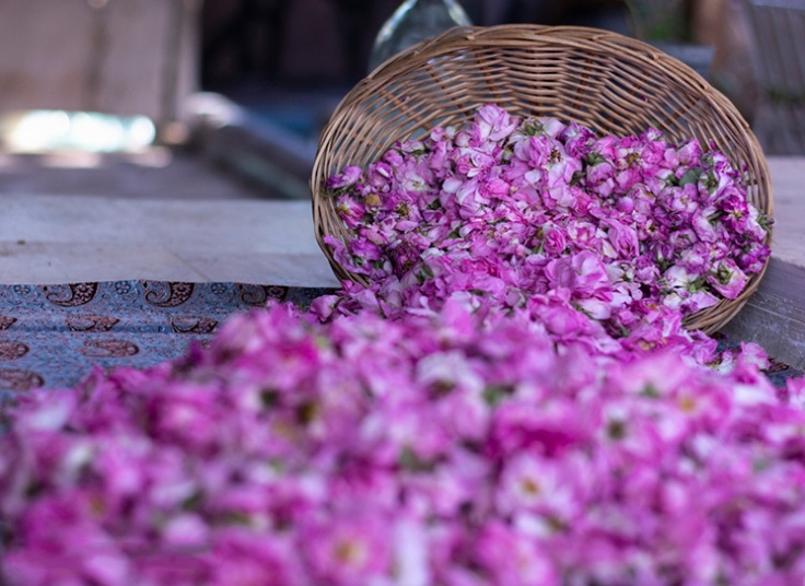 تور یک روزه کاشان آژانس شال و کلاه سفر