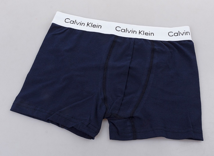 لباس زیر مردانه باکسر Calvin Klein
