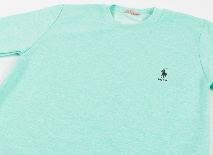 بلوز مردانه Polo