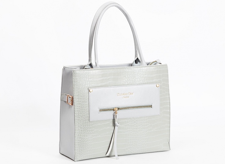 کیف زنانه Christian Dior
