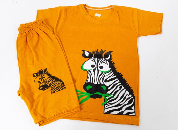 ست تیشرت شلوارک پسرانه Zebra