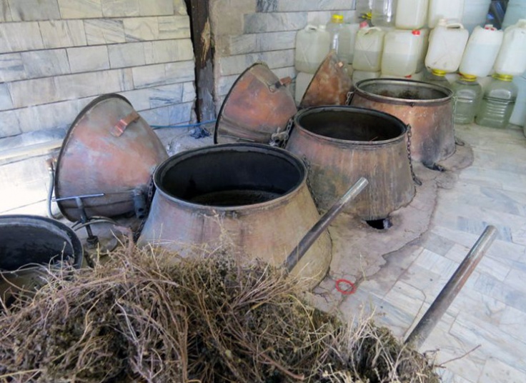 تور یک روزه کاشان آژانس شال و کلاه سفر