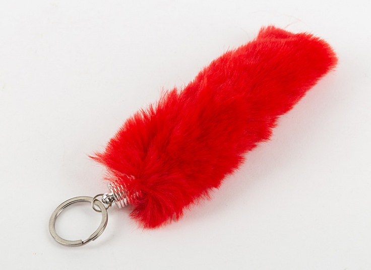 جا سوئیچی خز