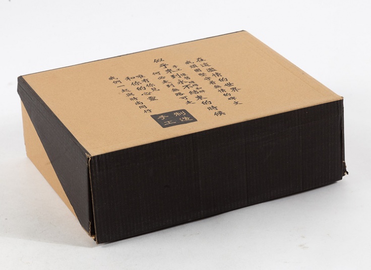 کفش کوهنوردی مدل 2102