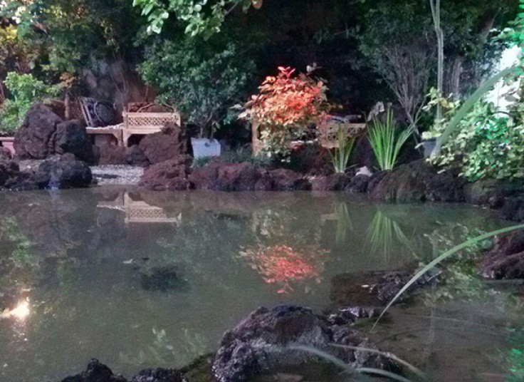 سرویس افطار و جوجه کباب رستوران برکه