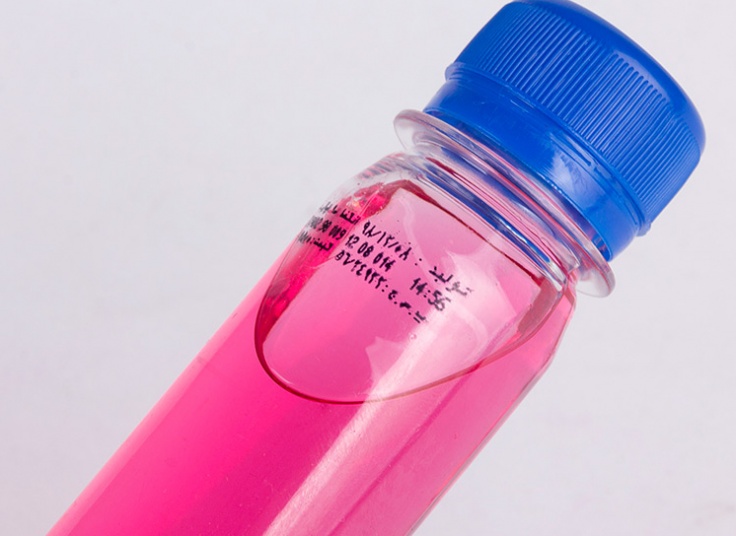 اسپری ضدعفونی کننده دست ویشکا