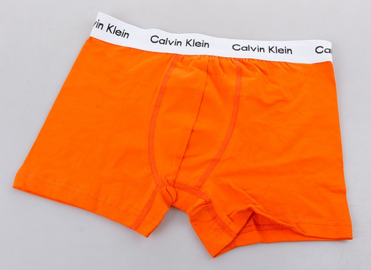 لباس زیر مردانه باکسر Calvin Klein