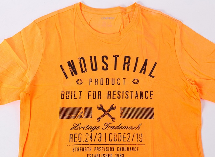 تیشرت مردانه Livergy