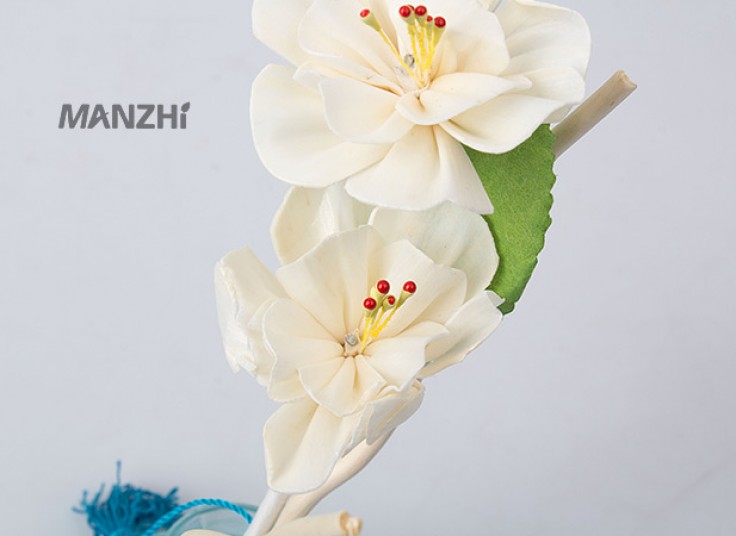 ست کادویی خوشبو کننده هوا MANZHI