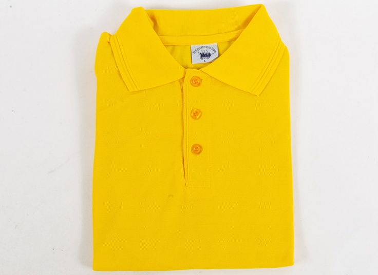 پولوشرت مردانه Polo Team