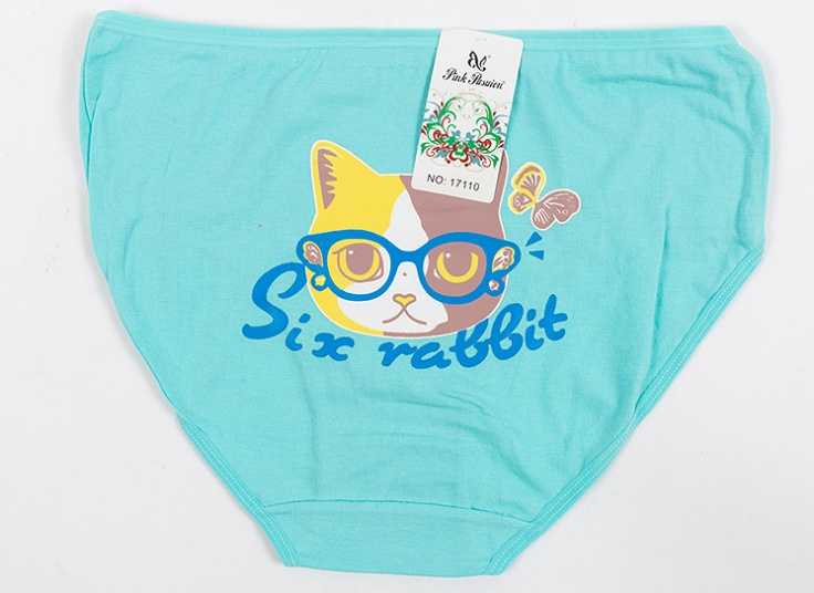 لباس زیر زنانه Pink Pasuion