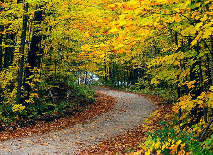 تور یک روزه سی سنگان با بیتا گشت