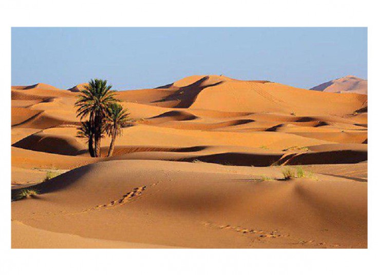 تور کویر مصر آژانس خط سفر پارس