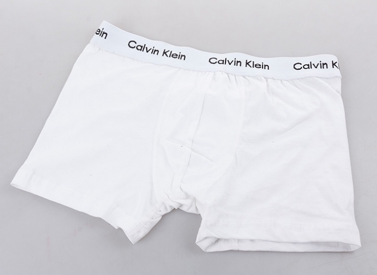 لباس زیر مردانه باکسر Calvin Klein