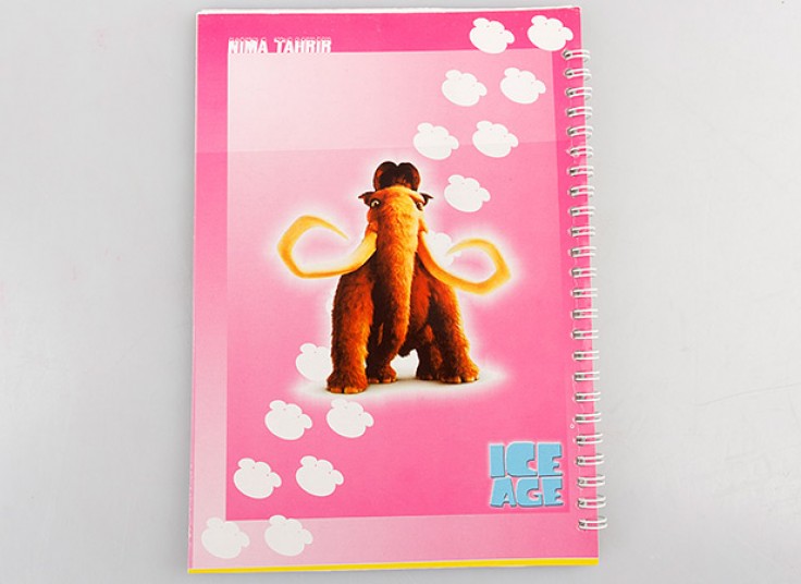 دفتر نقاشی سیمی طرحدار