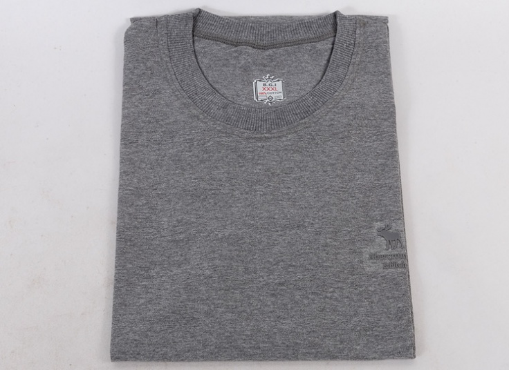 تیشرت مردانه BGI