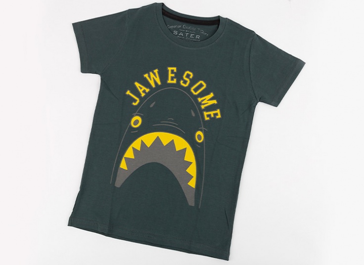 تیشرت آستین کوتاه پسرانه