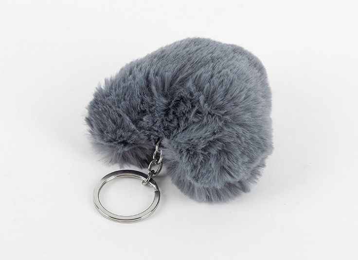 جا سوئیچی خز